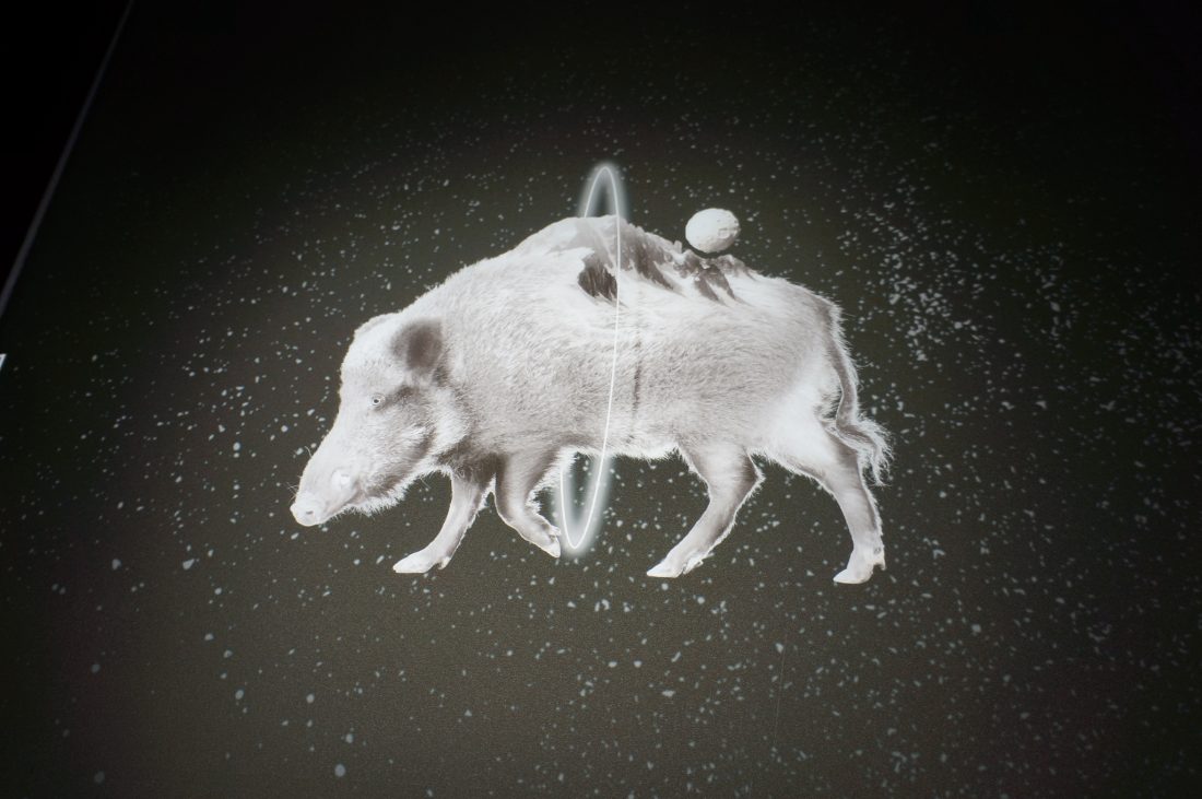 Printaly per Italianism. Tre mostre imperdibili alla Reggia di Portici