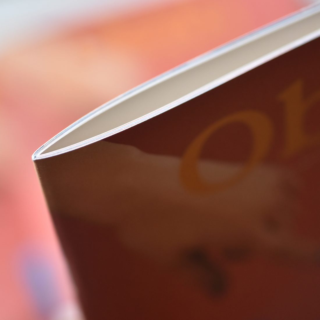 Il nuovo magazine di Hoppípolla. Un destino segnato?
