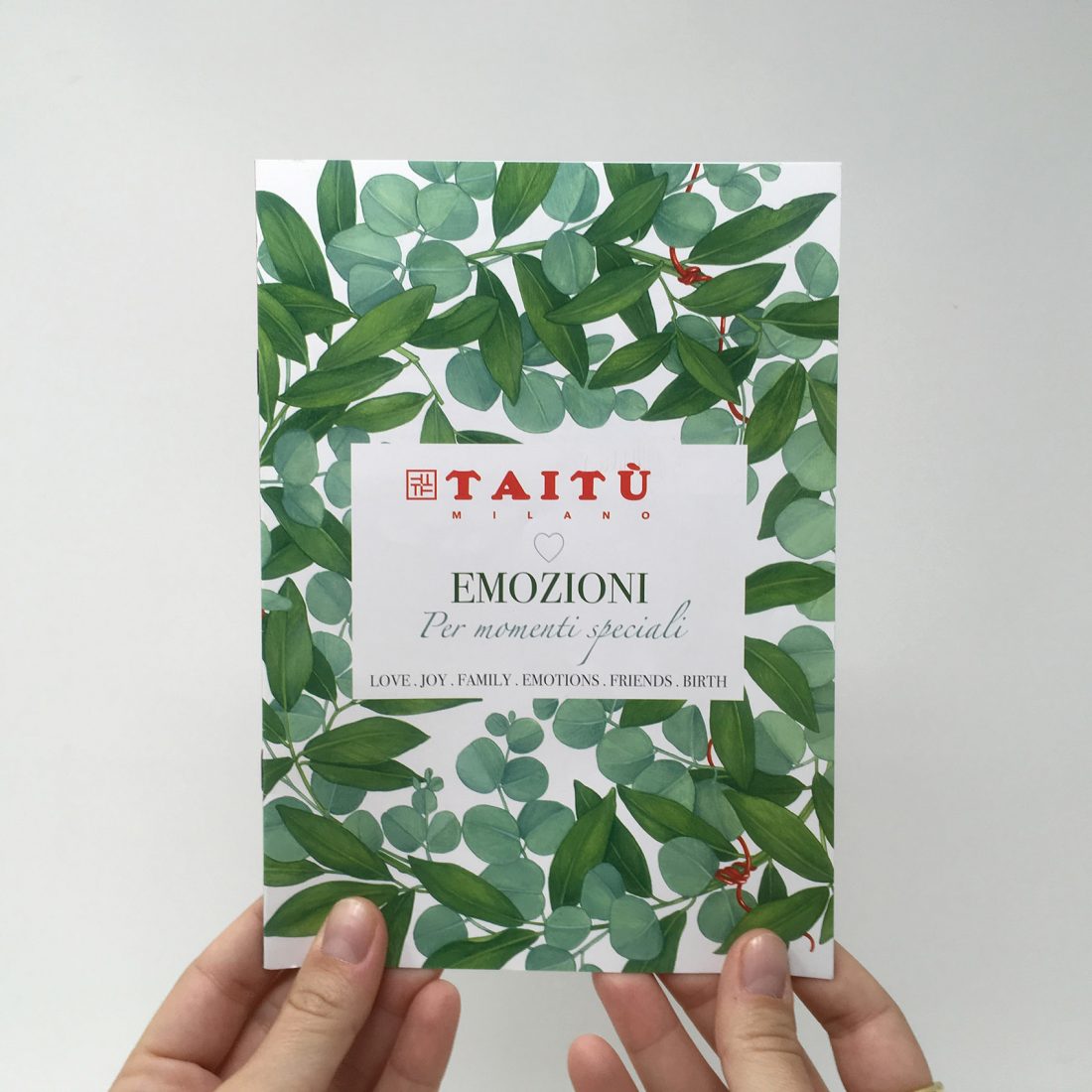 Taitù. Un coordinato visivo per l'azienda del design italiano.