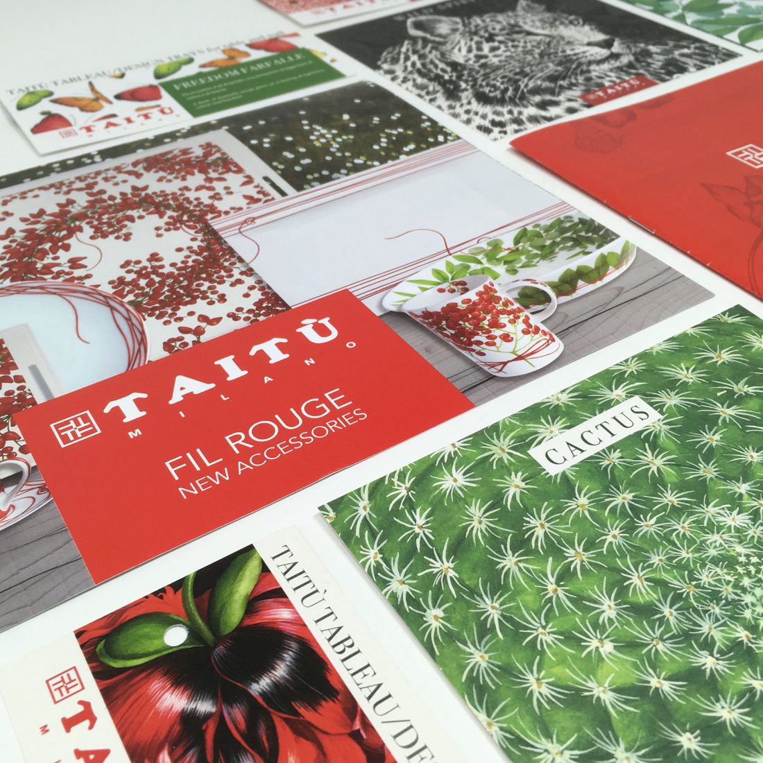 Taitù. Un coordinato visivo per l'azienda del design italiano.
